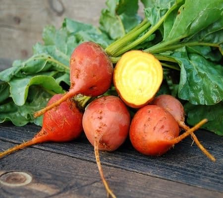 Red Beetroot ,red vegetable seeds - Heirloom, Organic, Non Gmo Garden Seeds for kitchen garden planting