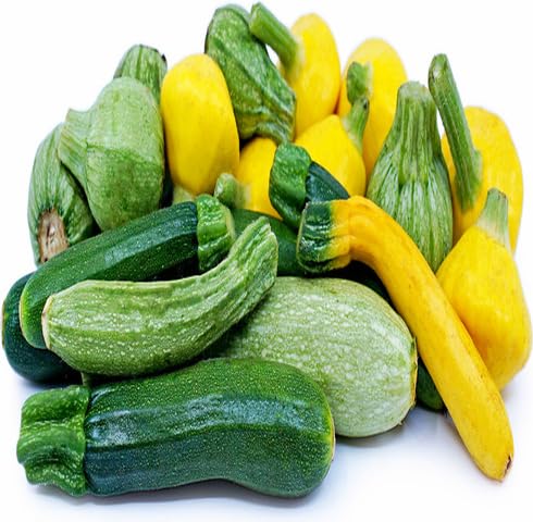 Mixed Squash vegetable seeds for Home Gardening, Organic Raised Bed Garden Favorite for kitchen garden planting