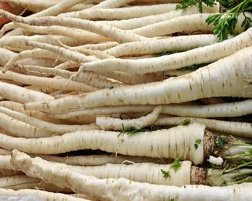 Turga vegetable seeds - Heirloom, Organic, Non Gmo Garden Seeds for kitchen garden planting
