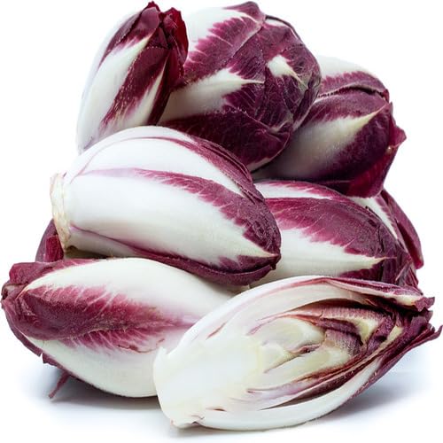 Endive vegetable seeds red vegetable seeds for Home Gardening, Premium Kitchen Garden Collection for kitchen garden planting