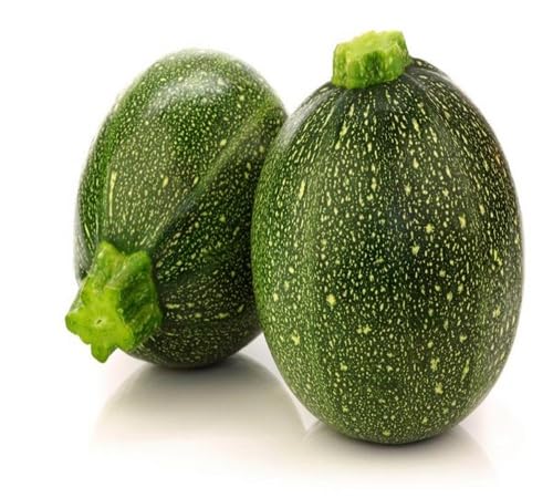 Green gemsquash vegetable seeds for Home Gardening, Healthy Seasonal Vegetable Planting for kitchen garden planting