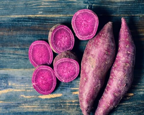 Purple Sweet Potato Vegetables vegetable seeds for Home Gardening, Easy Grow Culinary for kitchen garden planting