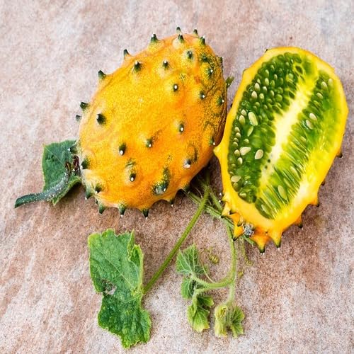 Yellow Kiwano Melon fruit seeds for organic garden planting
