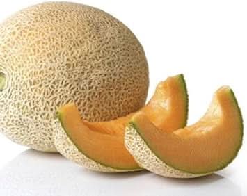 new fresh cream yellow cantaloupe fruit delicious smooth cantaloupes for your orchard Fruit seeds