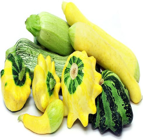 Mixed Zucchini vegetable seeds for Home Gardening, Heirloom, Non-GMO, High Germination for kitchen garden planting