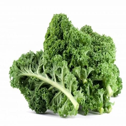 Organic Kale vegetable seeds for Home Gardening, Organic Raised Bed Garden Favorite for kitchen garden planting