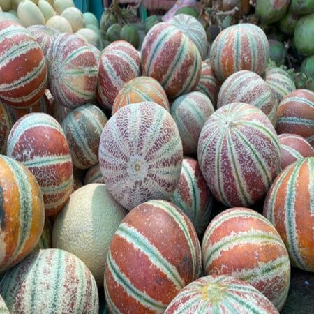 Kajari Melon Fruit fruit seeds for organic garden planting