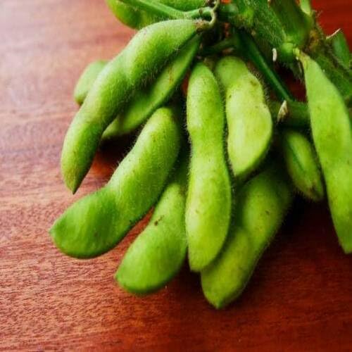 Green Soyabeans vegetable seeds for Home Gardening, Premium Kitchen Garden Planting for kitchen garden planting