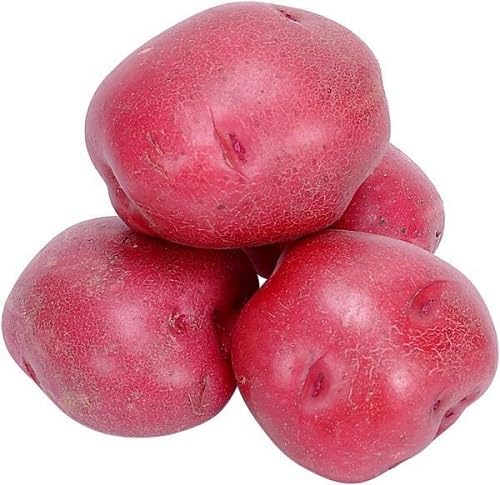 Pink Potato Vegetables Seeds. vegetable seeds - Heirloom, Organic, Non Gmo Garden Seeds for kitchen garden planting