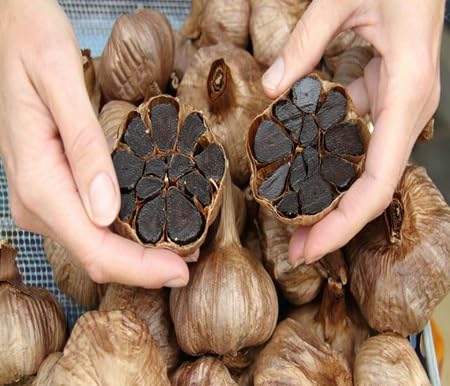 Garlica vegetable seeds - Heirloom, Organic, Non Gmo Garden Seeds for kitchen garden planting