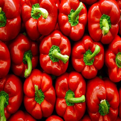 red Pepper vegetable seeds for Home Gardening, Nutritious Backyard Harvest Collection for kitchen garden planting