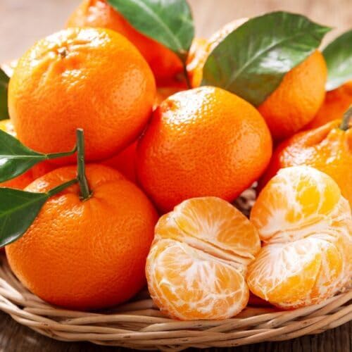 Orange Tangerine Fruit fruit seeds for organic garden planting