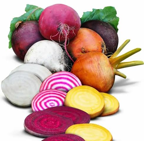 Mixed Beetroot vegetable seeds vegetable seeds for Home Gardening, Organic Raised Bed Gardening for kitchen garden planting