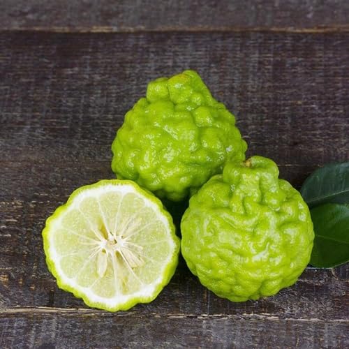 Bergamot Fruit Seeds organic garden seeds