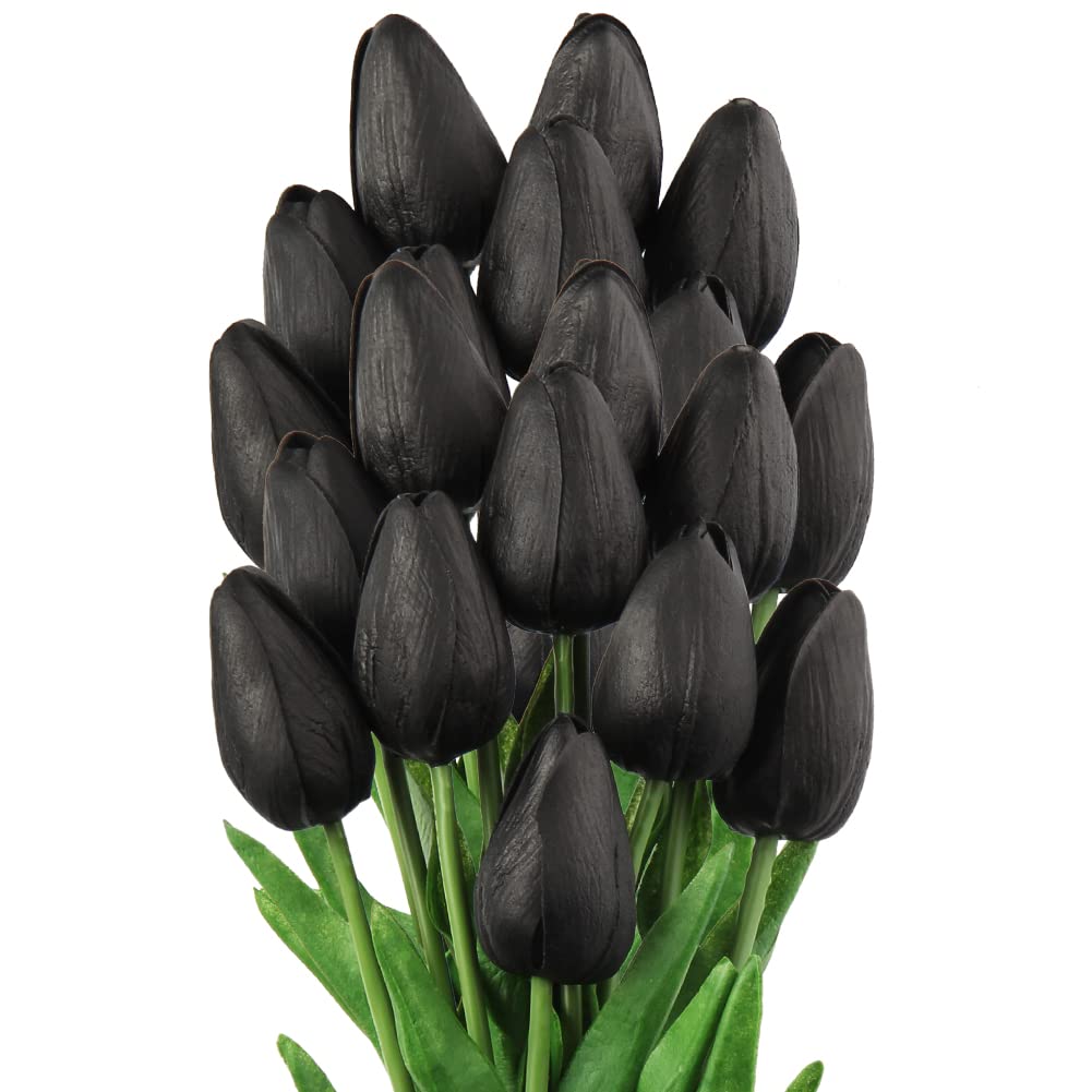 Black Tulip Flower Seeds