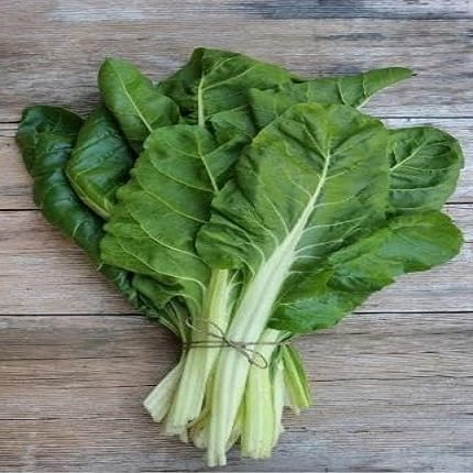 Green Chard vegetable seeds for Home Gardening, Fast Growing Home Garden Variety Premium for kitchen garden planting