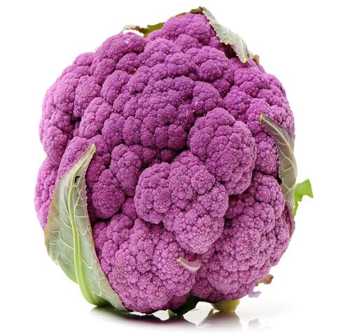 Purple Broccoli vegetable seeds vegetable seeds for Home Gardening, Fast Growing Backyard Harvest for kitchen garden planting