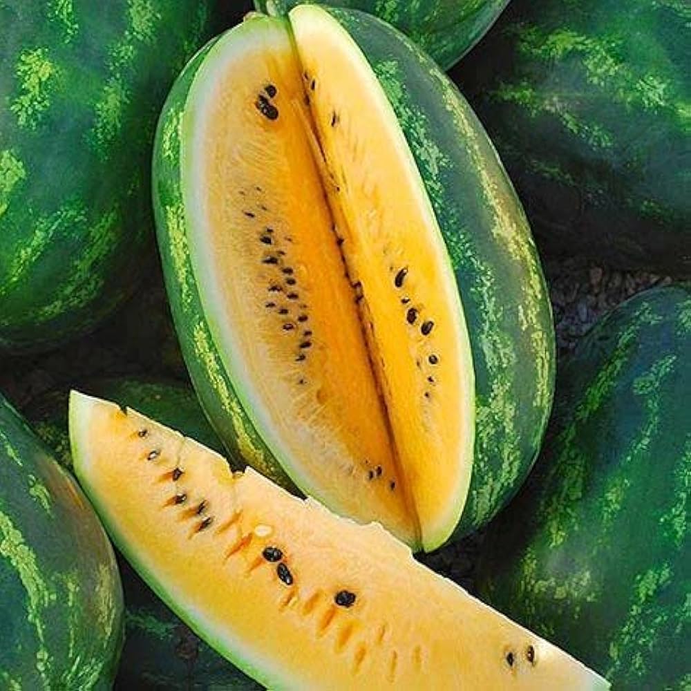yellow watermelon fruit seeds