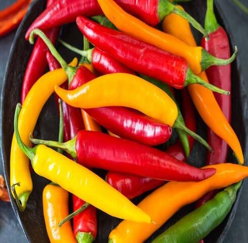 Mixed Chilli vegetable seeds - Heirloom, Organic, Non Gmo Garden Seeds for kitchen garden planting