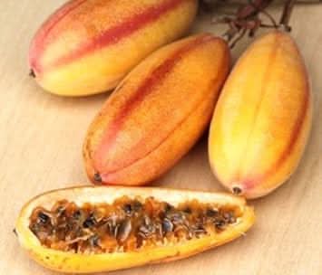 yellow passiflora mollissima fruit for planting Fruit seeds
