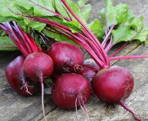 Beetroot vegetable seeds for Home Gardening, Nutritious Backyard Harvest Collection for kitchen garden planting
