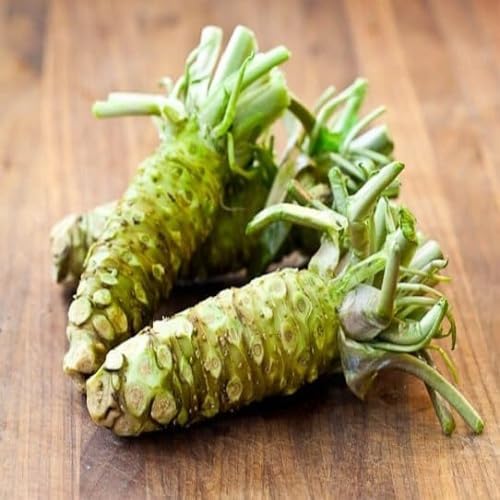 Wasabi vegetable seeds - Heirloom, Organic, Non Gmo Garden Seeds for kitchen garden planting