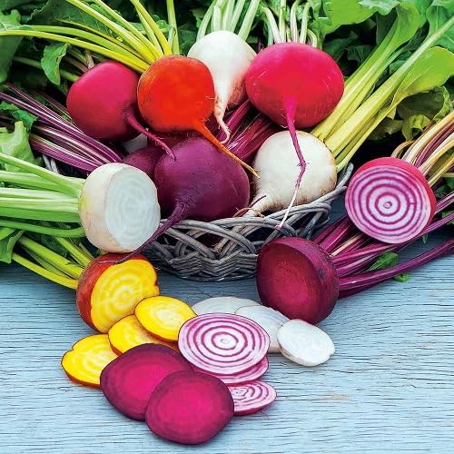 Mixed Beetroot Vegetables Seeds. vegetable seeds - Heirloom, Organic, Non Gmo Garden Seeds for kitchen garden planting