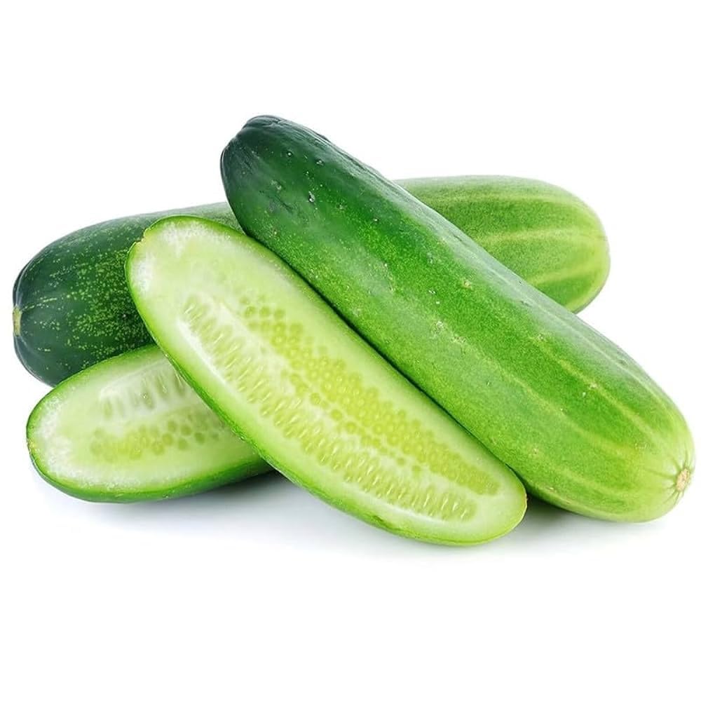Green Long Cucumber vegetable seeds for Home Gardening, Natural Farm Fresh Gardening for kitchen garden planting