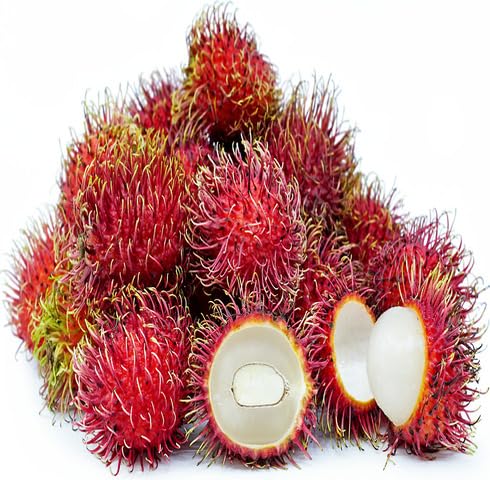 Red Rambutan Fruit Seeds organic garden seeds