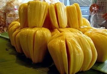 yellow jackfruit for planting heirloom and non gmo home garden Fruit seeds