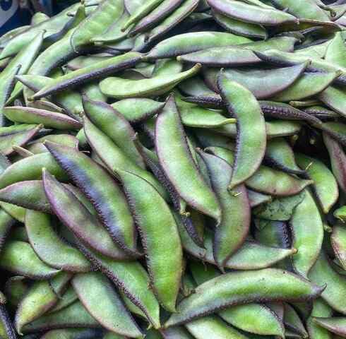 Green Lima Beans vegetable seeds vegetable seeds for Home Gardening, Fast Growing Backyard Harvest for kitchen garden planting