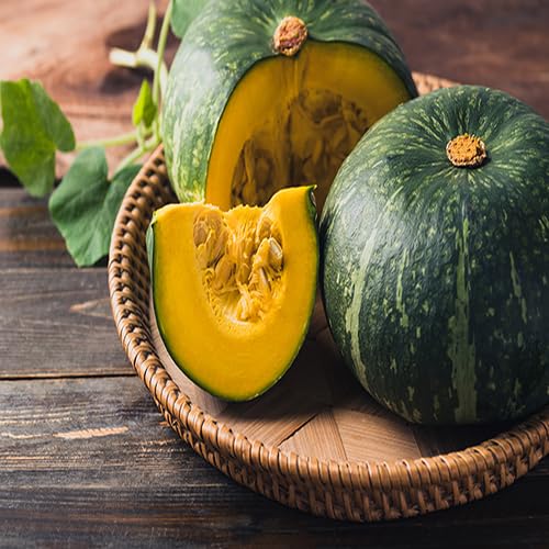 Kabocha vegetable seeds for Home Gardening, Healthy Seasonal Vegetable Planting Premium for kitchen garden planting