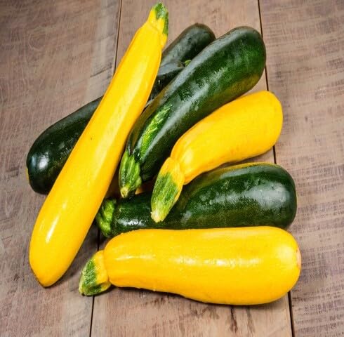 Mixed Zucchini vegetable seeds - Heirloom, Organic, Non Gmo Garden Seeds for kitchen garden planting