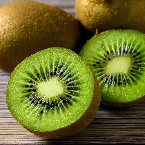 Kiwi Fruit fruit seeds for organic garden planting