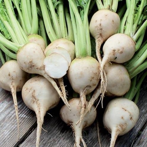 Beetroot vegetable seeds for Home Gardening, Natural Farm Fresh Gardening Choice Premium for kitchen garden planting