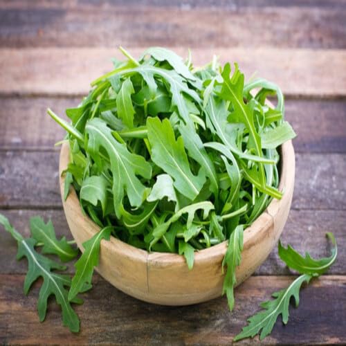Green Sativa vegetable seeds - Heirloom, Organic, Non Gmo Garden Seeds for kitchen garden planting