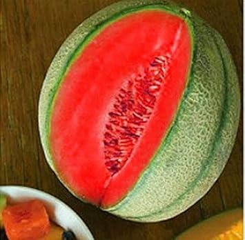 Red Cantaloupe Melon Fruit Grow Your Own Superfood At Home For Home Fruit Seeds