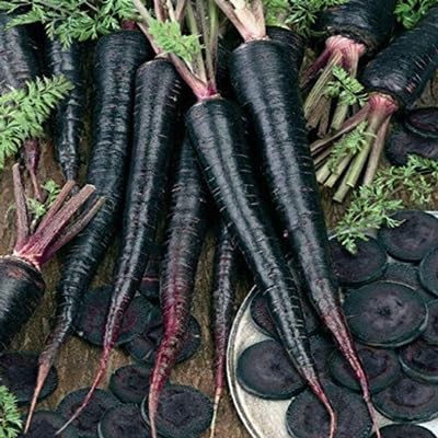 Black Carrot vegetable seeds vegetable seeds for Home Gardening, Healthy Culinary Garden Variety for kitchen garden planting