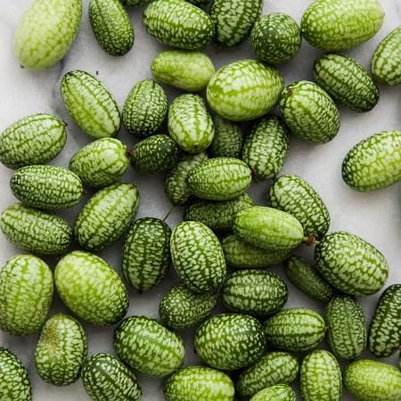 Green Cucamelon . vegetable seeds - Heirloom, Organic, Non Gmo Garden Seeds for kitchen garden planting