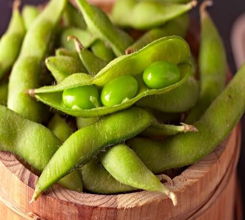 Soybean vegetable seeds - Heirloom, Organic, Non Gmo Garden Seeds for kitchen garden planting