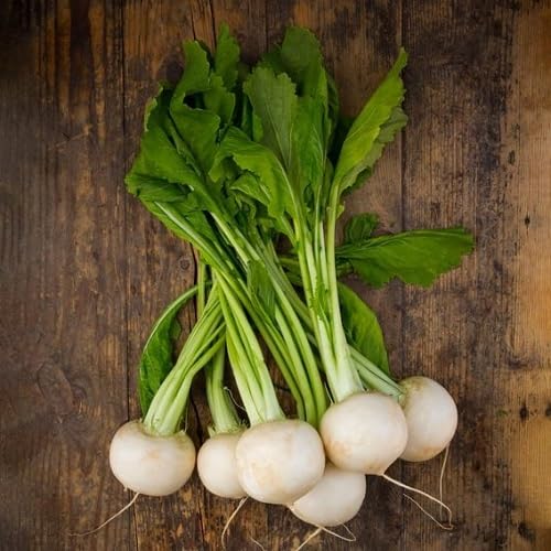 White Turnip Vegetables Seeds vegetable seeds - Heirloom, Organic, Non Gmo Garden Seeds for kitchen garden planting