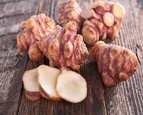 Brown Topinambur vegetable seeds for Home Gardening, Healthy Seasonal Vegetable Planting for kitchen garden planting