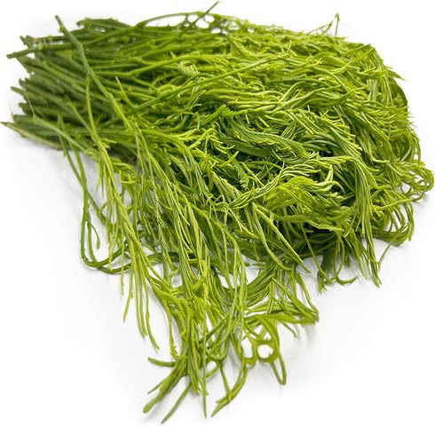 Green Senegalia Pennata vegetable seeds - Heirloom, Organic, Non Gmo Garden Seeds for kitchen garden planting
