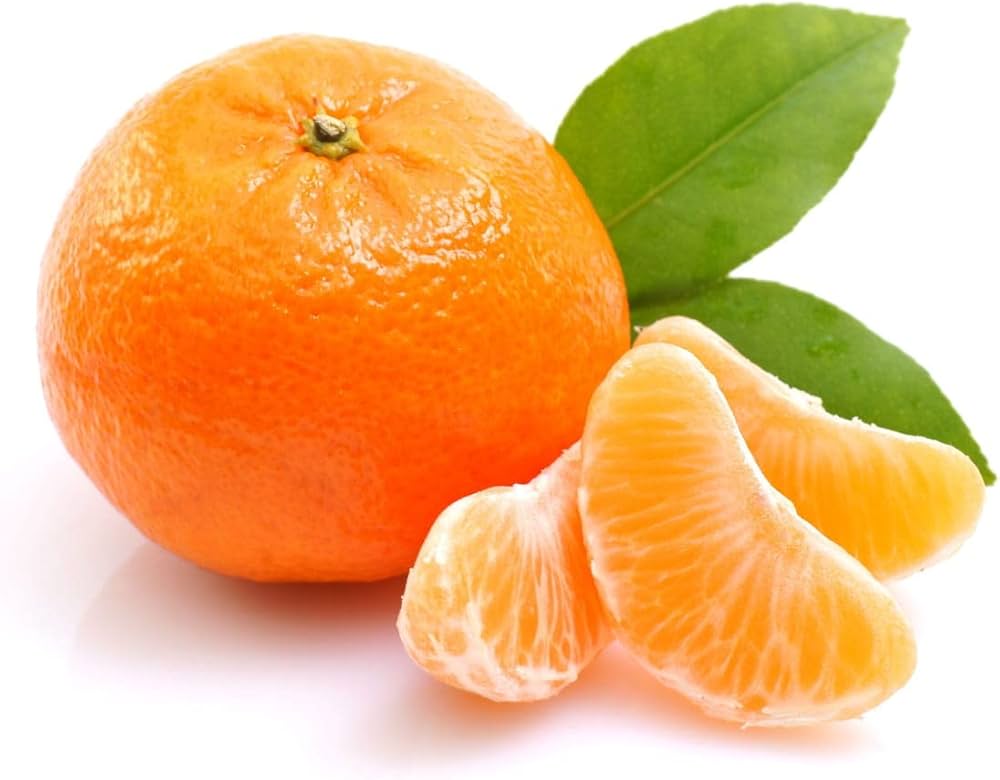 Orange Citrus Sinensis Gardens And