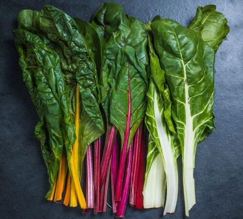 Mixed Chard vegetable seeds - Heirloom, Organic, Non Gmo Garden Seeds for kitchen garden planting