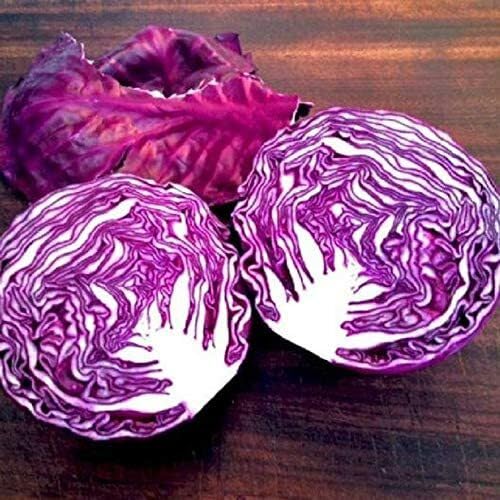 Cabbage vegetable seeds Purple vegetable seeds for Home Gardening, Premium Kitchen Garden Collection for kitchen garden planting