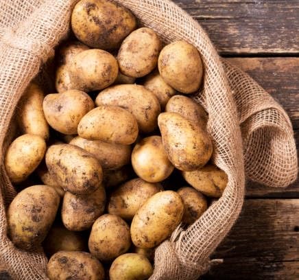 Brown Common Arrowhead (Katniss) Indian Potato Water Garden vegetable seeds for Home for kitchen garden planting
