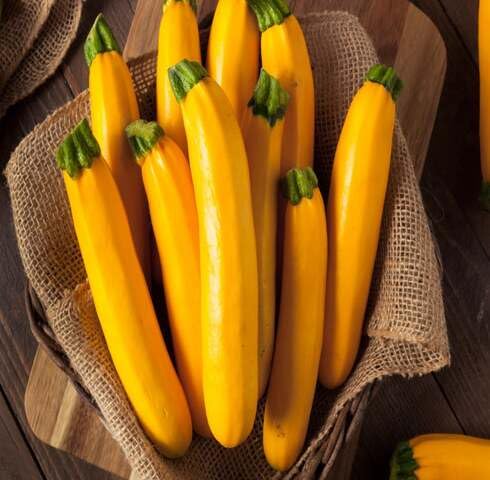 Yellow Zucchini vegetable seeds vegetable seeds for Home Gardening, Heirloom, Non-GMO, High for kitchen garden planting