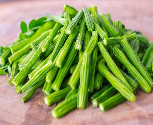 Drumstick Seeds. vegetable seeds for Home Gardening, Easy Grow Culinary Garden Selection for kitchen garden planting