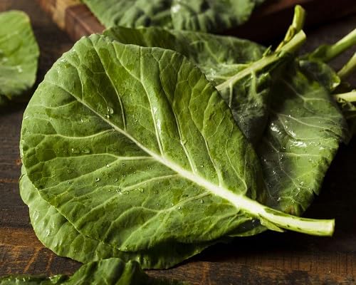Collard vegetable seeds Green vegetable seeds for Home Gardening, Heirloom, Non-GMO, High Premium for kitchen garden planting